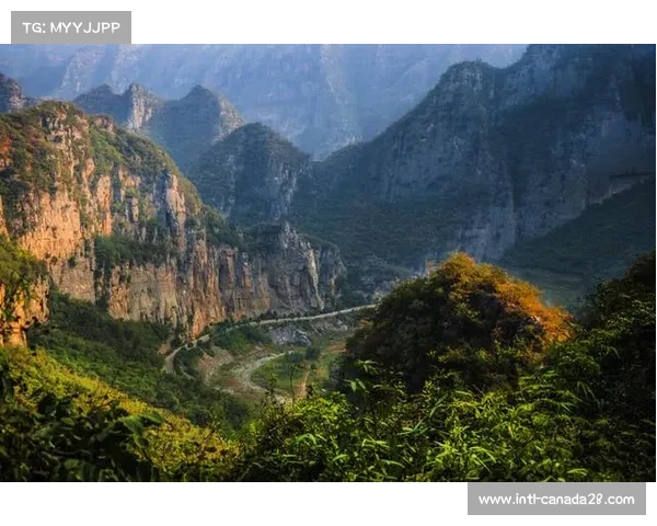 动态折扣激励非高峰消费 场馆日均利用率趋均衡
